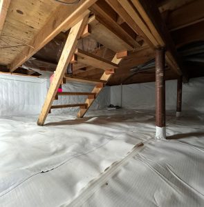 WhatsApp Image 2025-08-05 at 10.21.56