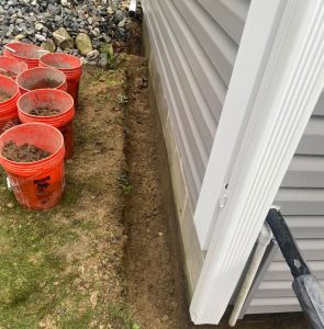 WhatsApp Image 2025-08-05 at 10.52.30